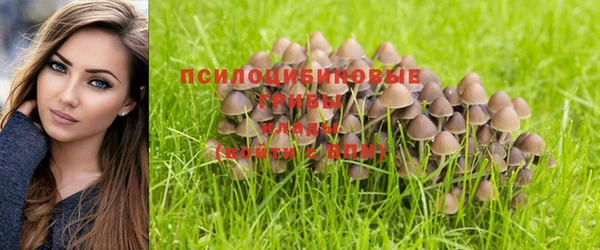 jwh Вяземский