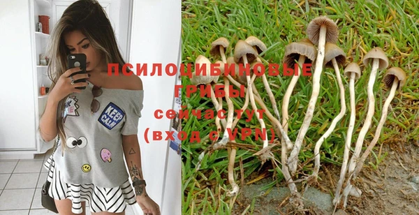 ГАЛЛЮЦИНОГЕННЫЕ ГРИБЫ Волосово